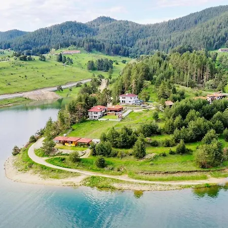 Pensiune сиана *