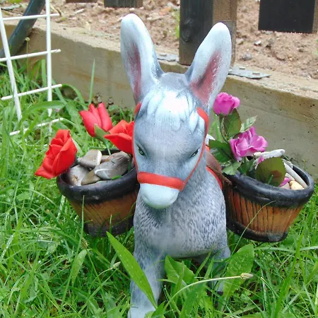 сиана Guest house *