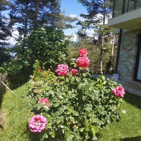 сиана Maison d'hôtes *