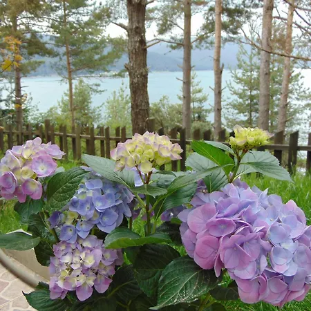 сиана Maison d'hôtes Dospat