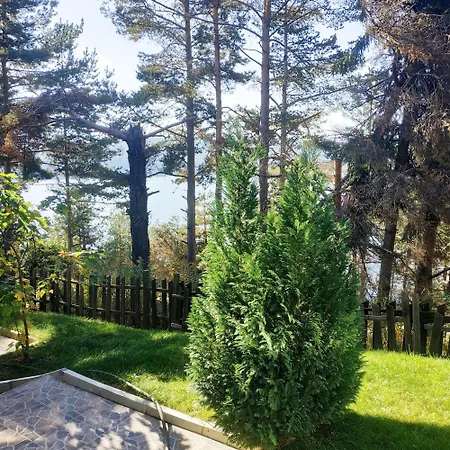 сиана Maison d'hôtes