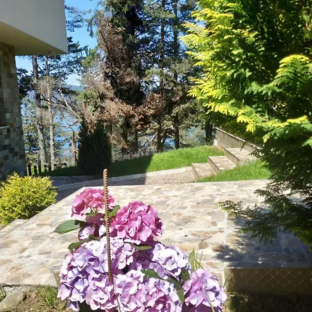 сиана Maison d'hôtes *