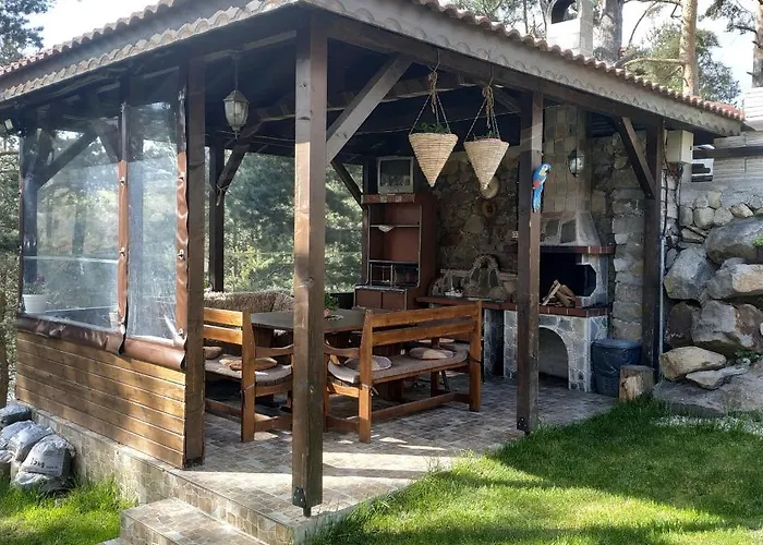 сиана ドスパット