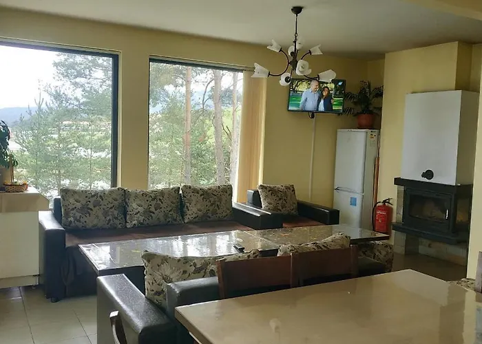 сиана ドスパット