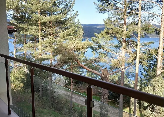 сиана ドスパット