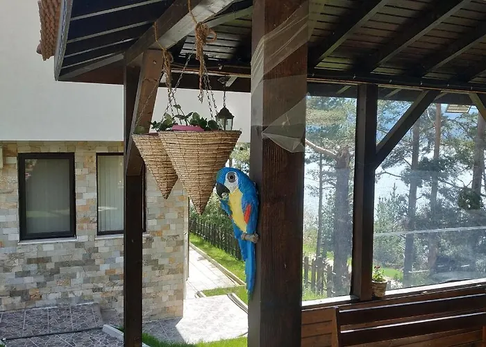 сиана ゲストハウス