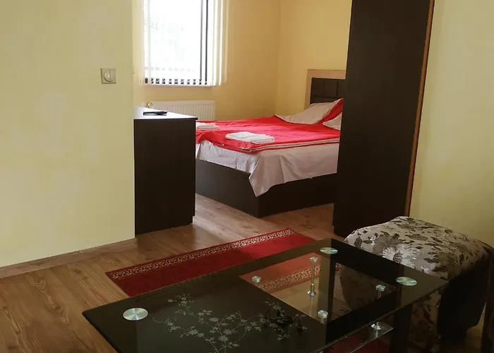 сиана ゲストハウス ドスパット