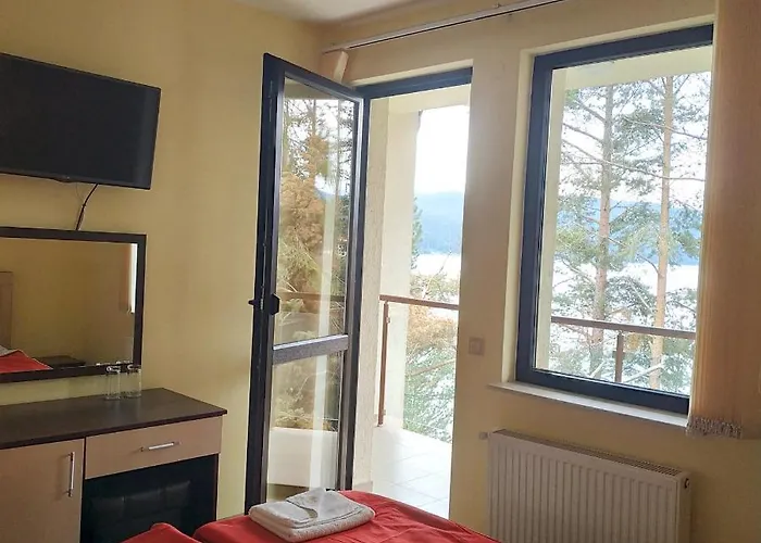 сиана * ドスパット