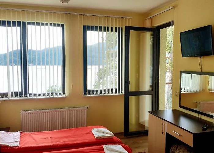 сиана ドスパット