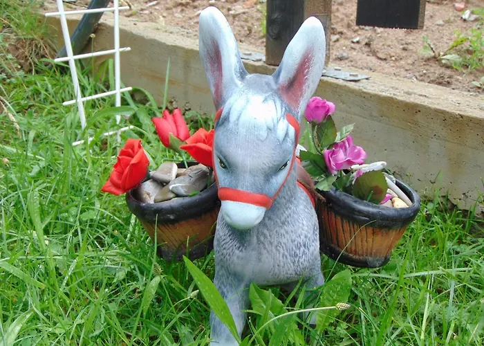 сиана ゲストハウス *