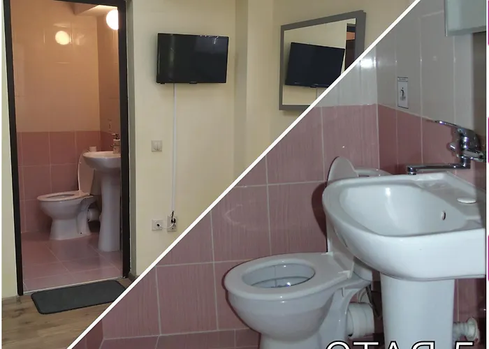 сиана * ドスパット