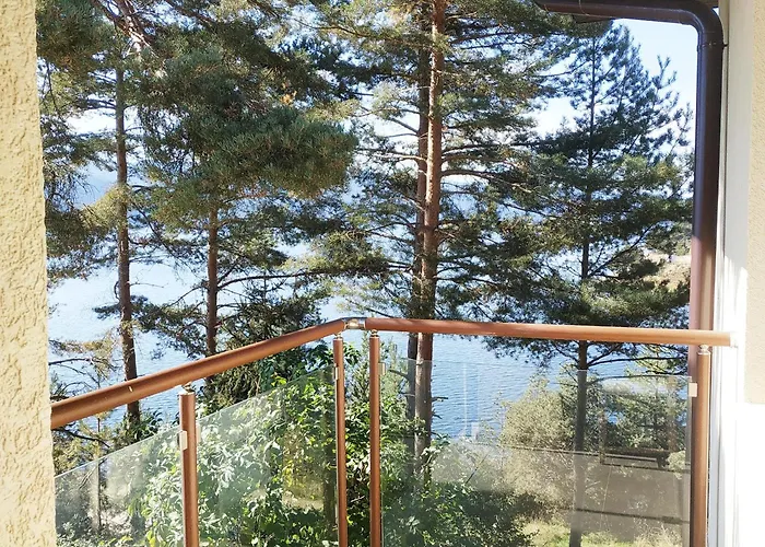 сиана ドスパット