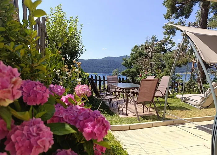 сиана * ドスパット