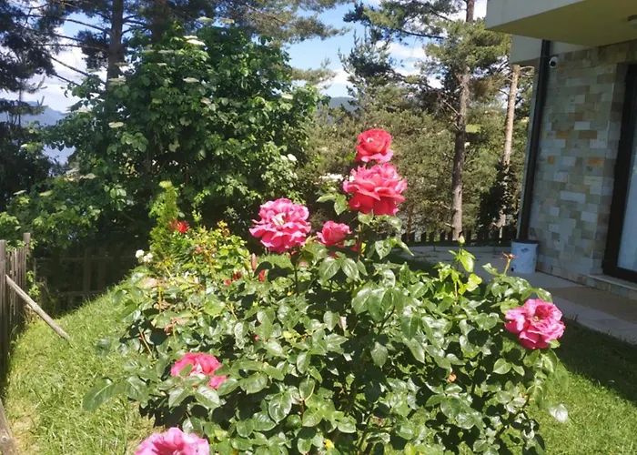 сиана ゲストハウス *