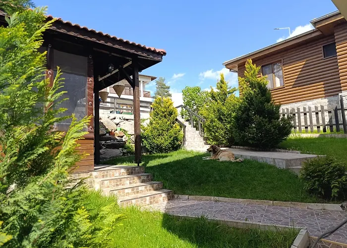 сиана * ドスパット