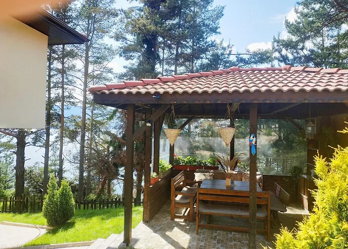 сиана * ドスパット