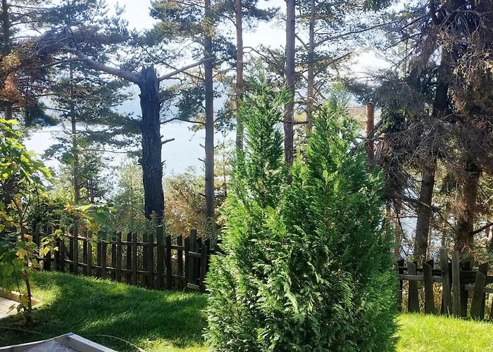 сиана ゲストハウス