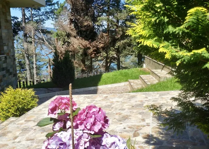 сиана ゲストハウス *